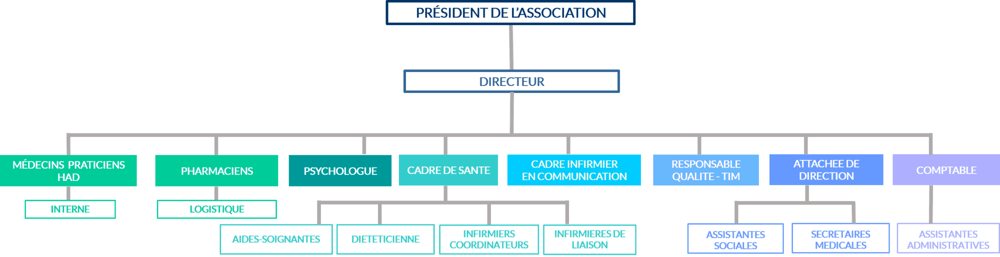 organigramme